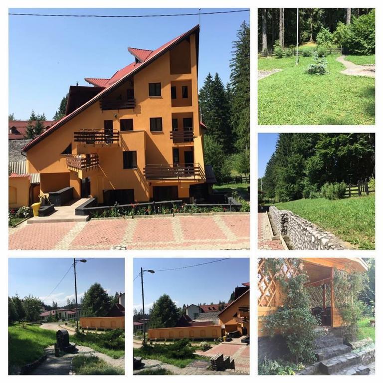 Pensiunea Mihaela Poiana Brašov Exteriér fotografie