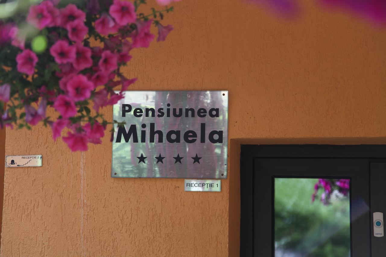 Pensiunea Mihaela Poiana Brašov Exteriér fotografie