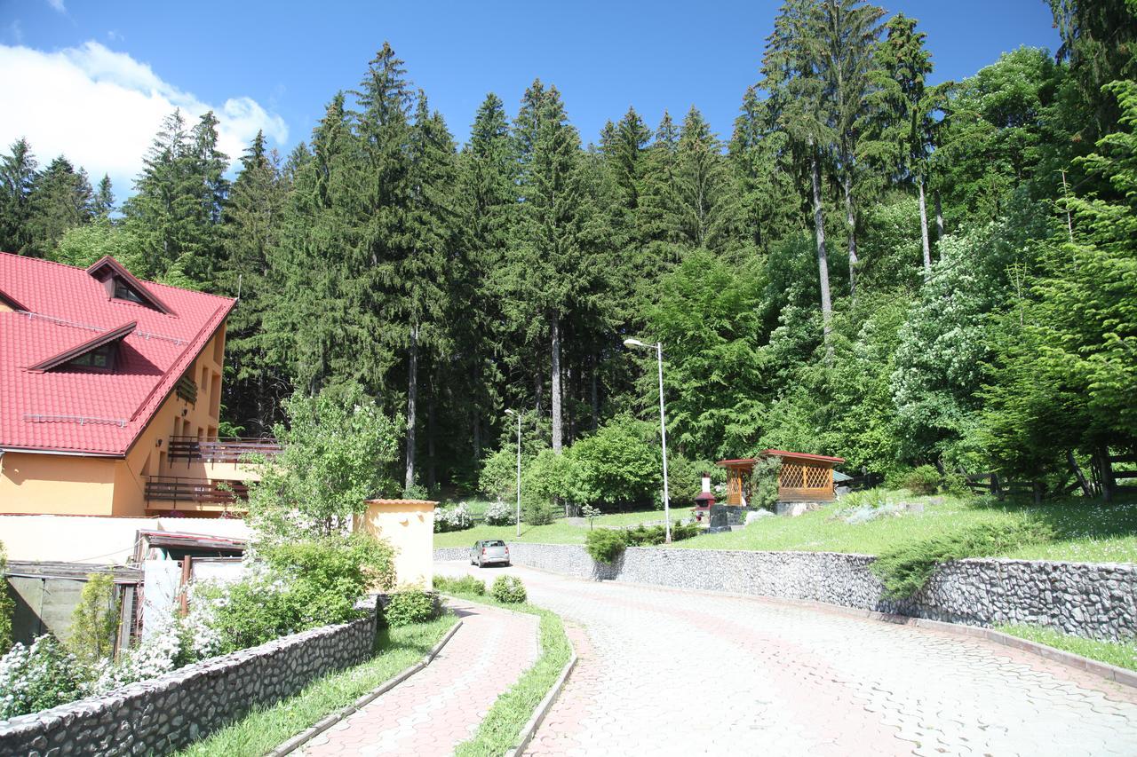 Pensiunea Mihaela Poiana Brašov Exteriér fotografie